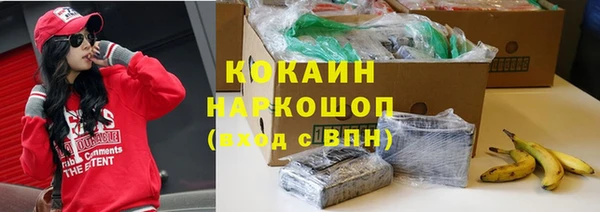ешки Алексин