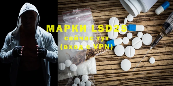 стафф Аркадак