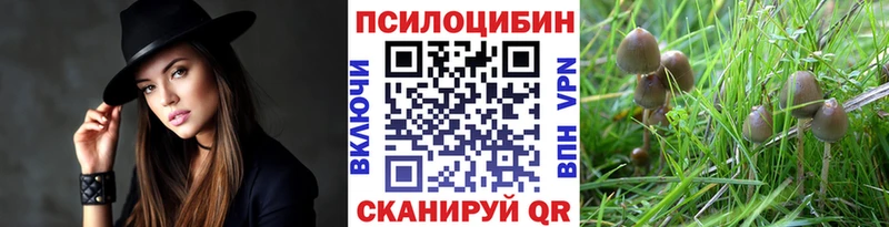 Псилоцибиновые грибы ЛСД  Тимашёвск 